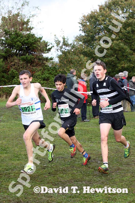 Under-15 boys, National Cross Country Relays, Berry Hill Park, Mansfield. Photo: David T. Hewitson/Sports for All Pics